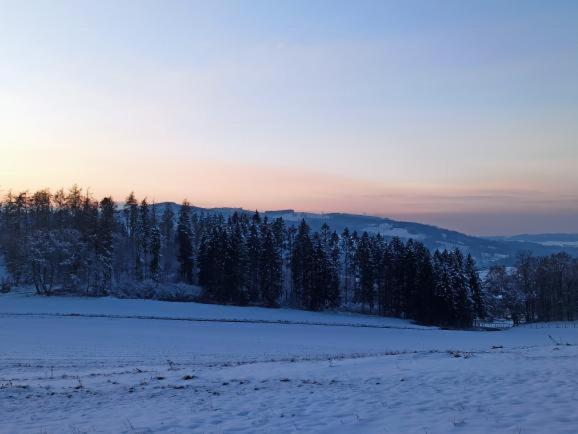 Modernes Rhombushaus mit Garten&Teich nähe Wald Balve Exterior foto