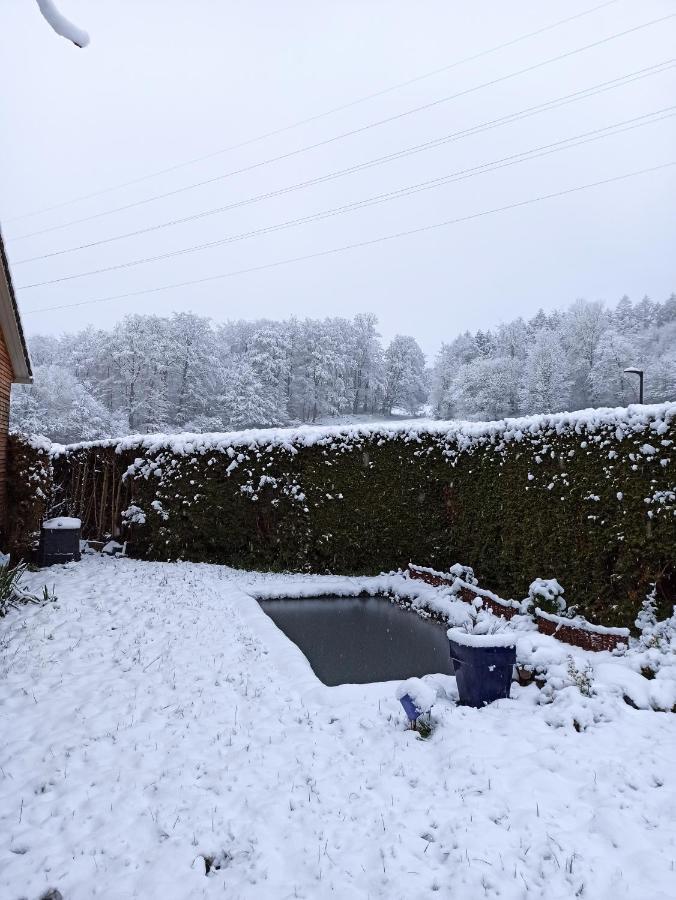 Modernes Rhombushaus mit Garten&Teich nähe Wald Balve Exterior foto