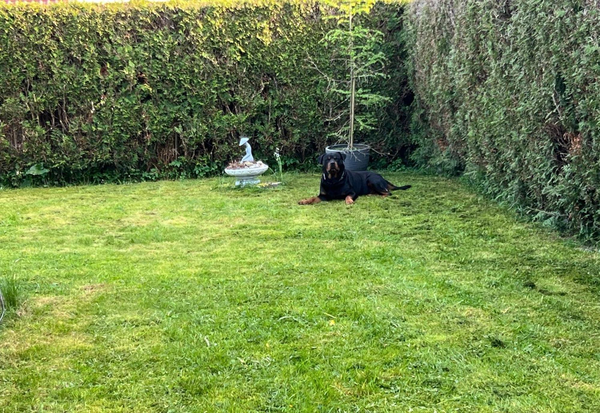 Modernes Rhombushaus mit Garten&Teich nähe Wald Balve Exterior foto